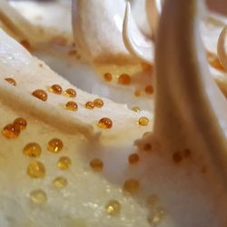 Full frame shot of bread