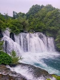 Scenic view of waterfall in forest