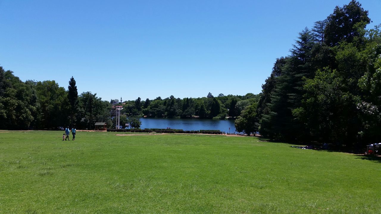 clear sky, grass, tree, water, copy space, blue, green color, tranquility, tranquil scene, leisure activity, scenics, nature, beauty in nature, growth, lake, lifestyles, men, sunlight, grassy