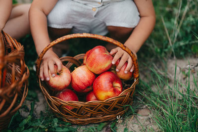 Midsection of boy holding apple in basket