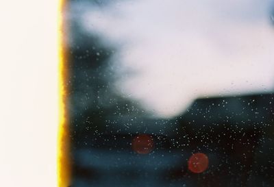 Close-up of tree against sky