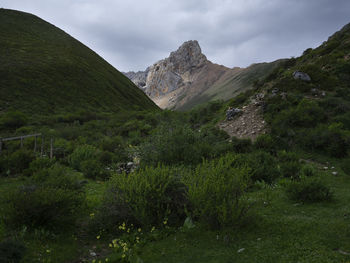environment