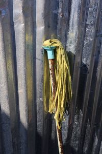 Portrait of woman standing by fence