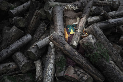 High angle view of abandoned toy in logs