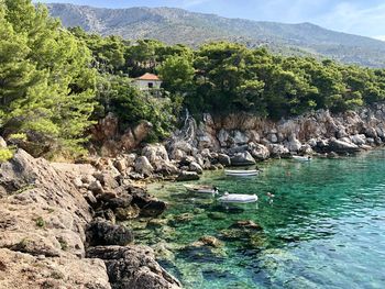 Plants and rocks by sea against mountains