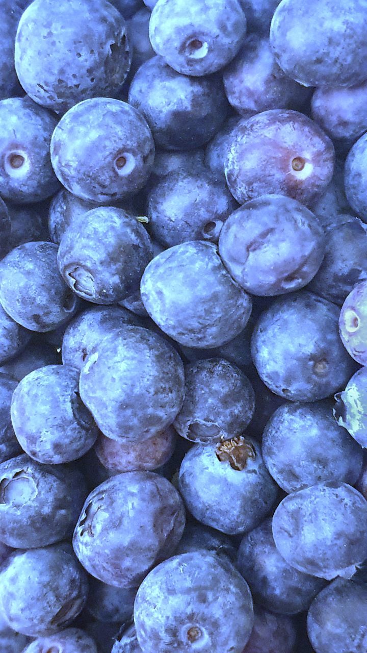 food, food and drink, healthy eating, freshness, plant, wellbeing, full frame, large group of objects, fruit, backgrounds, produce, abundance, bilberry, berry, blueberry, no people, close-up, still life, blue, high angle view, directly above, huckleberry, purple, day, for sale
