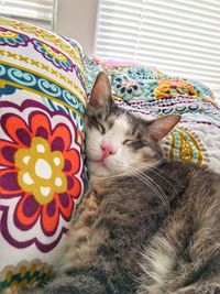 View of cat sleeping on colorful pillow