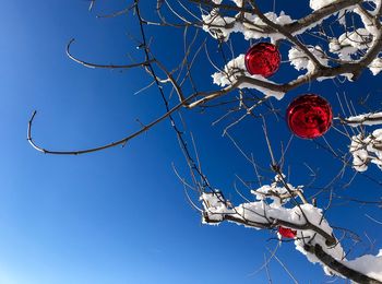 Low angle view of bare tree against blue sky