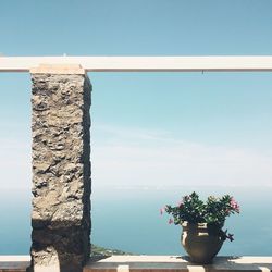 Close-up of potted plant against sea