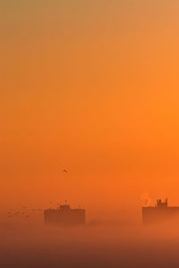 Silhouette birds flying against orange sky