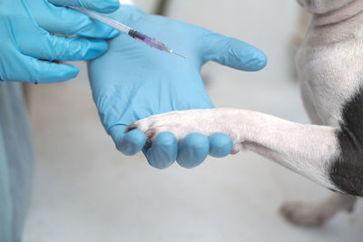 Cropped hand of man with dog