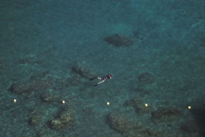 High angle view of person swimming in sea