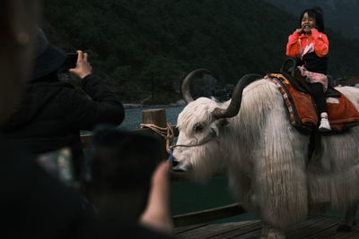 Rear view of people riding horse