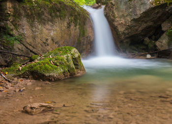 Scenic view of waterfall in forest