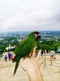 Midsection of person holding bird against sky