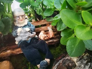 Close-up of boy sitting on wood against trees