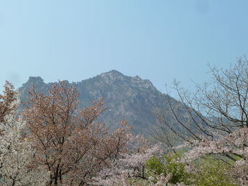 Scenic view of mountains against clear sky