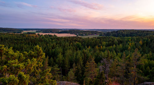 Scenic view of forest against sky during sunset