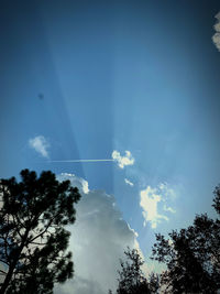 Low angle view of silhouette trees against blue sky