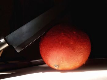 Close-up of orange fruit against black background
