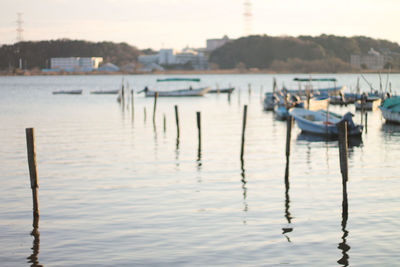 Sailboats moored in lake