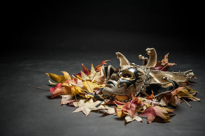 Venetian mask with autumn leaves against black background