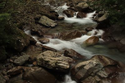 Stream flowing through rocks in forest