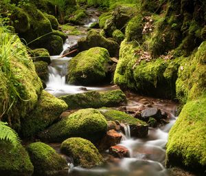 Scenic view of waterfall