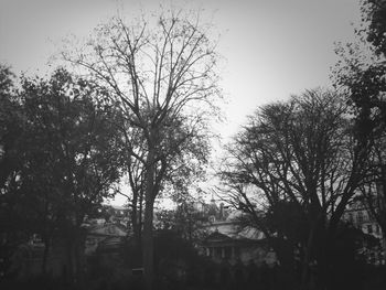 Built structure with trees in foreground