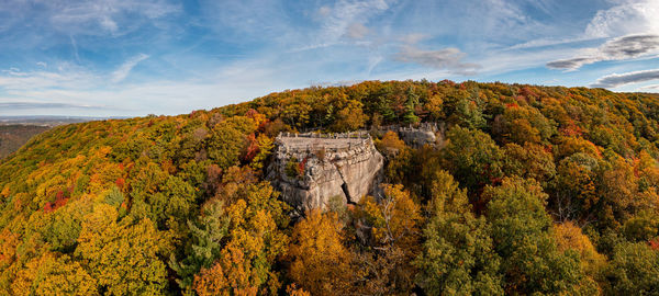 Trees on landscape against sky during autumn