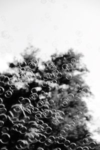 Close-up of raindrops on glass window