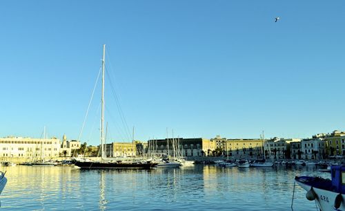 Sailboats moored in harbor against clear sky