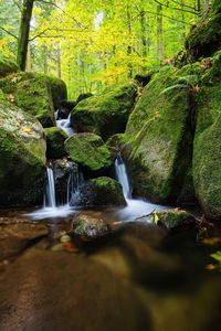 Scenic view of waterfall in forest