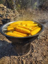 Close-up of yellow food