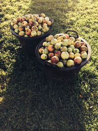 High angle view of apples in containers on grassy field