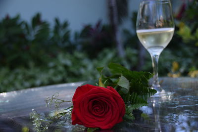 Close-up of rose bouquet