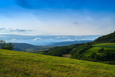 Scenic view of agricultural field against sky