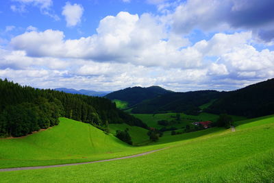 Scenic view of agricultural field against sky