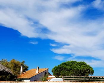Low angle view of trees and building against sky