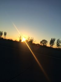 Silhouette of trees at sunset