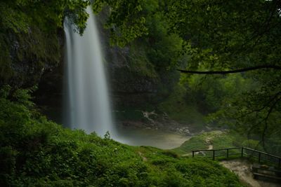 Scenic view of waterfall in forest