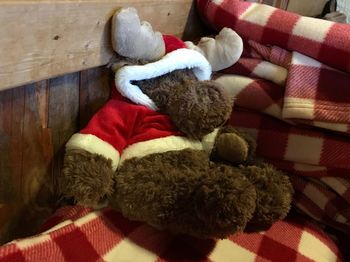 Close-up of stuffed toy