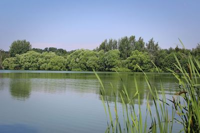 Scenic view of lake against clear sky