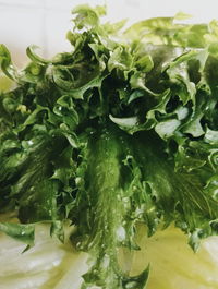 Close-up of vegetables