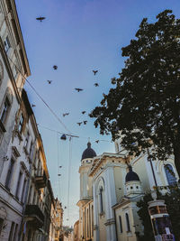 Low angle view of birds flying amidst buildings in city