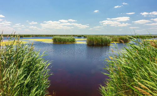 Scenic view of lake against sky