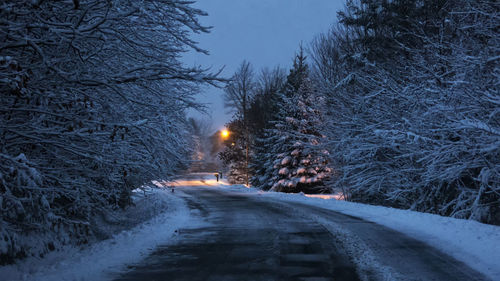 Snow covered road amidst trees against sky