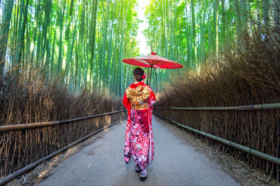 Rear view of woman with red umbrella walking in bamboo groove