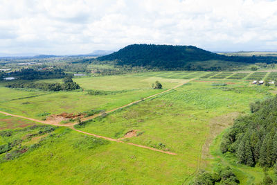 Scenic view of agricultural field against sky