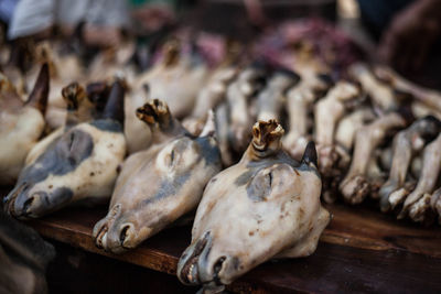 Close-up of siri and paye for sale in market